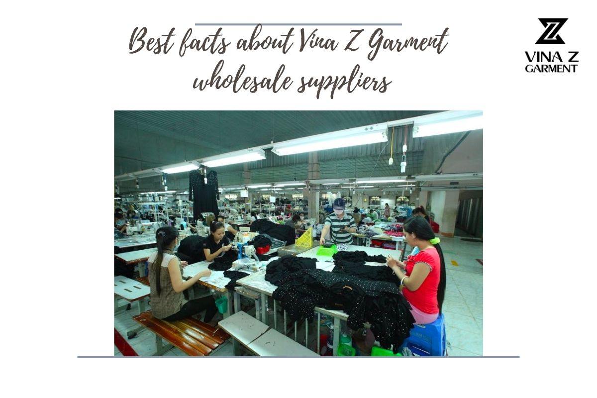 Best facts about Vina Z Garment wholesale supplier