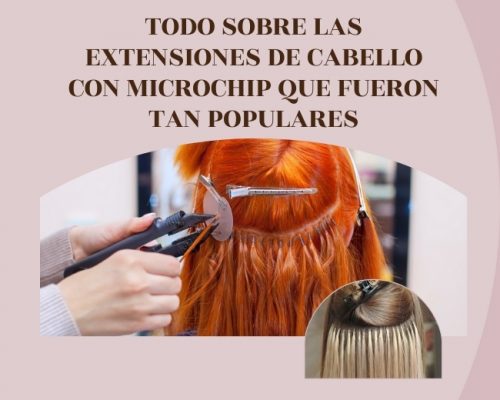 las extensiones de microchip ventajas y desventajas