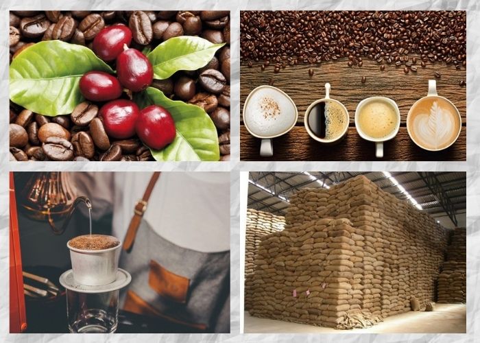 coffee-bean-manufacturers-1.jpg