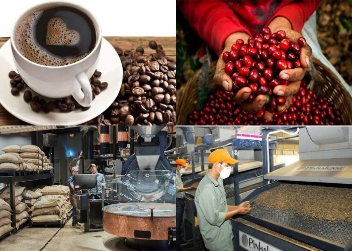 vietnam-coffee-manufacturers-1.jpg