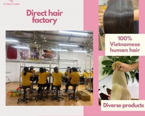 vin-hair-factory-2