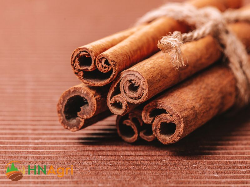 hanoi-cinnamon-company-the-top-cinnamon-exporters-from-vietnam-2