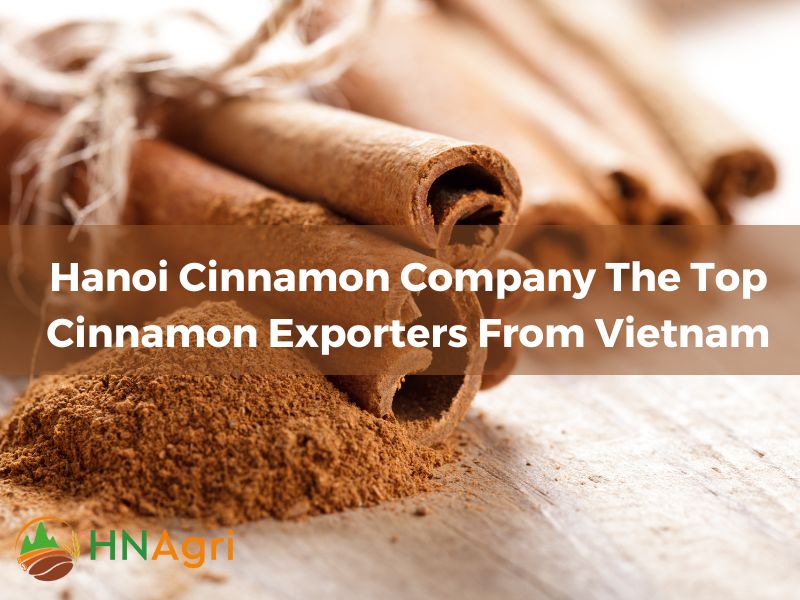 hanoi-cinnamon-company-the-top-cinnamon-exporters-from-vietnam-1