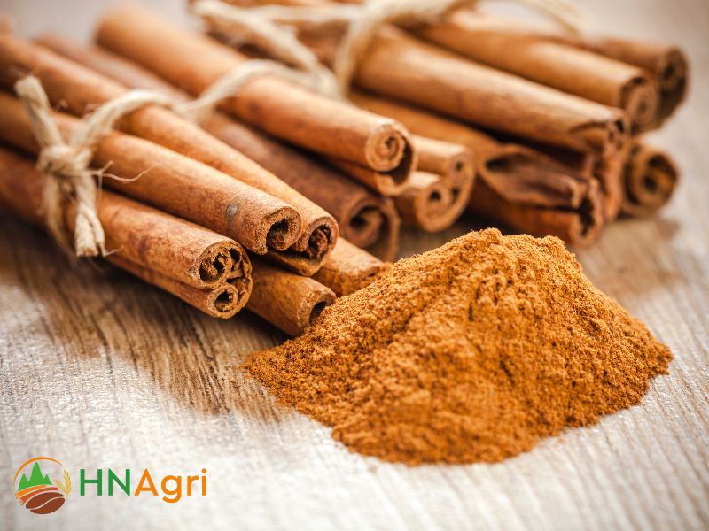 hanoi-cinnamon-company-the-top-cinnamon-exporters-from-vietnam-3