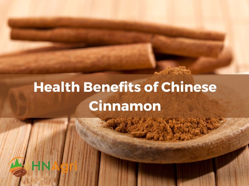 discover-the-history-and-role-in-chinese-cinnamons-culinary-culture-3