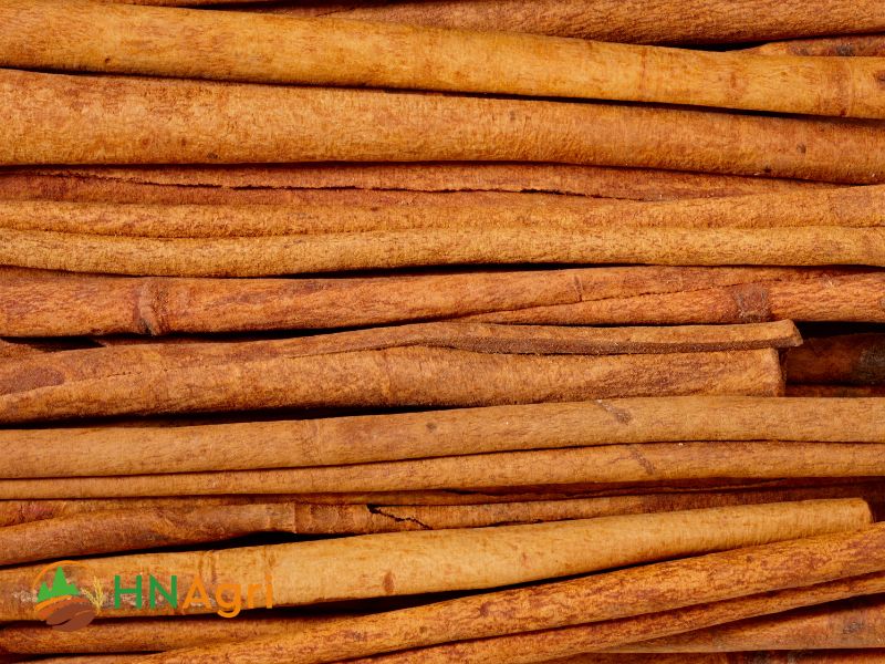 indonesian-cinnamon-a-culinary-treasure-that-captivates-the-senses-2