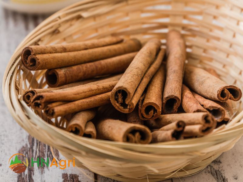 indonesian-cinnamon-a-culinary-treasure-that-captivates-the-senses-3