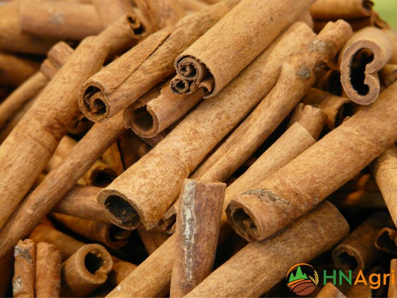 discover-the-history-and-role-in-chinese-cinnamons-culinary-culture-2