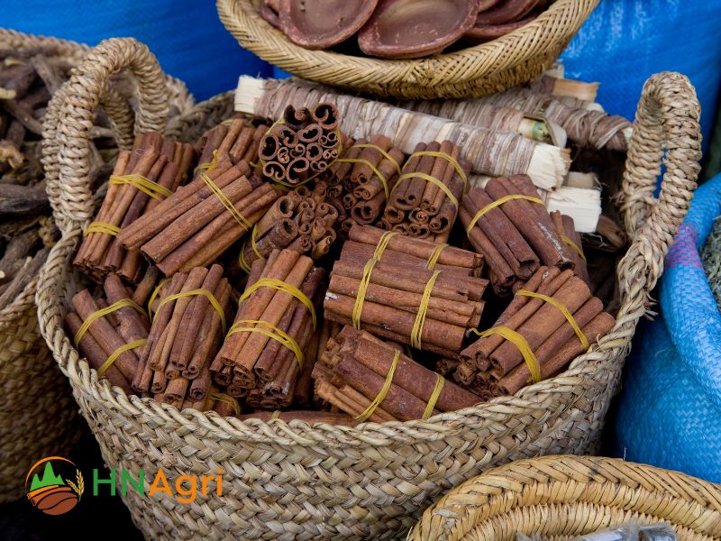the-ultimate-guide-to-chinese-cinnamon-sticks-uses-benefits-and-recipes-3