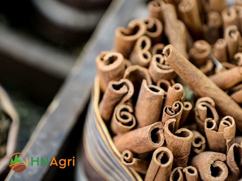 the-ultimate-guide-to-chinese-cinnamon-sticks-uses-benefits-and-recipes-2