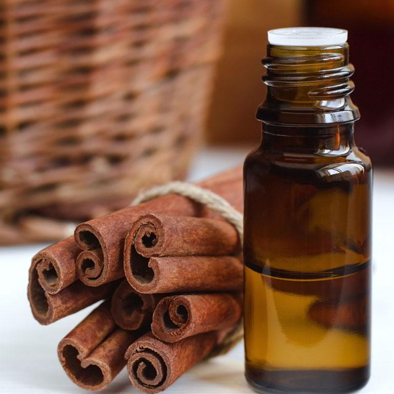 The basic details about cinnamon oil factory