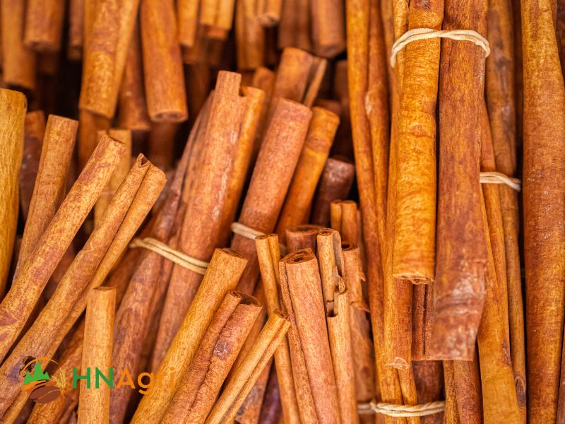 Organic Cinnamon: A Heartwarming Addition to Your Natural Lifestyle