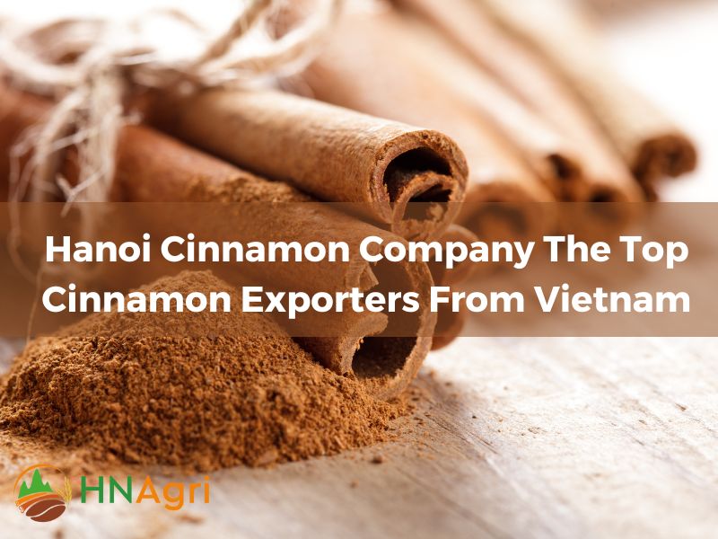 Hanoi Cinnamon Company The Top Cinnamon Exporters From Vietnam