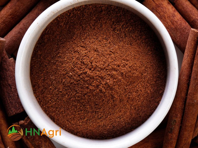 Discover The History And Role In Chinese Cinnamon’s Culinary Culture