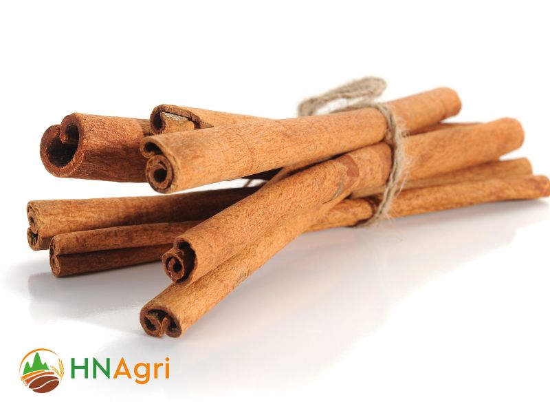 Indonesian Cinnamon A Culinary Treasure That Captivates the Senses